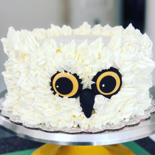 harrypotter theme cake